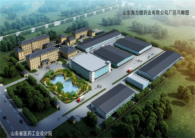 山東省海康醫(yī)藥有限公司 新建醫(yī)藥物流倉庫及飲片車間項目